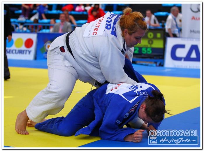WCM2011 60132